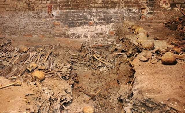 Human bones found near former Nazi research site in Berlin 